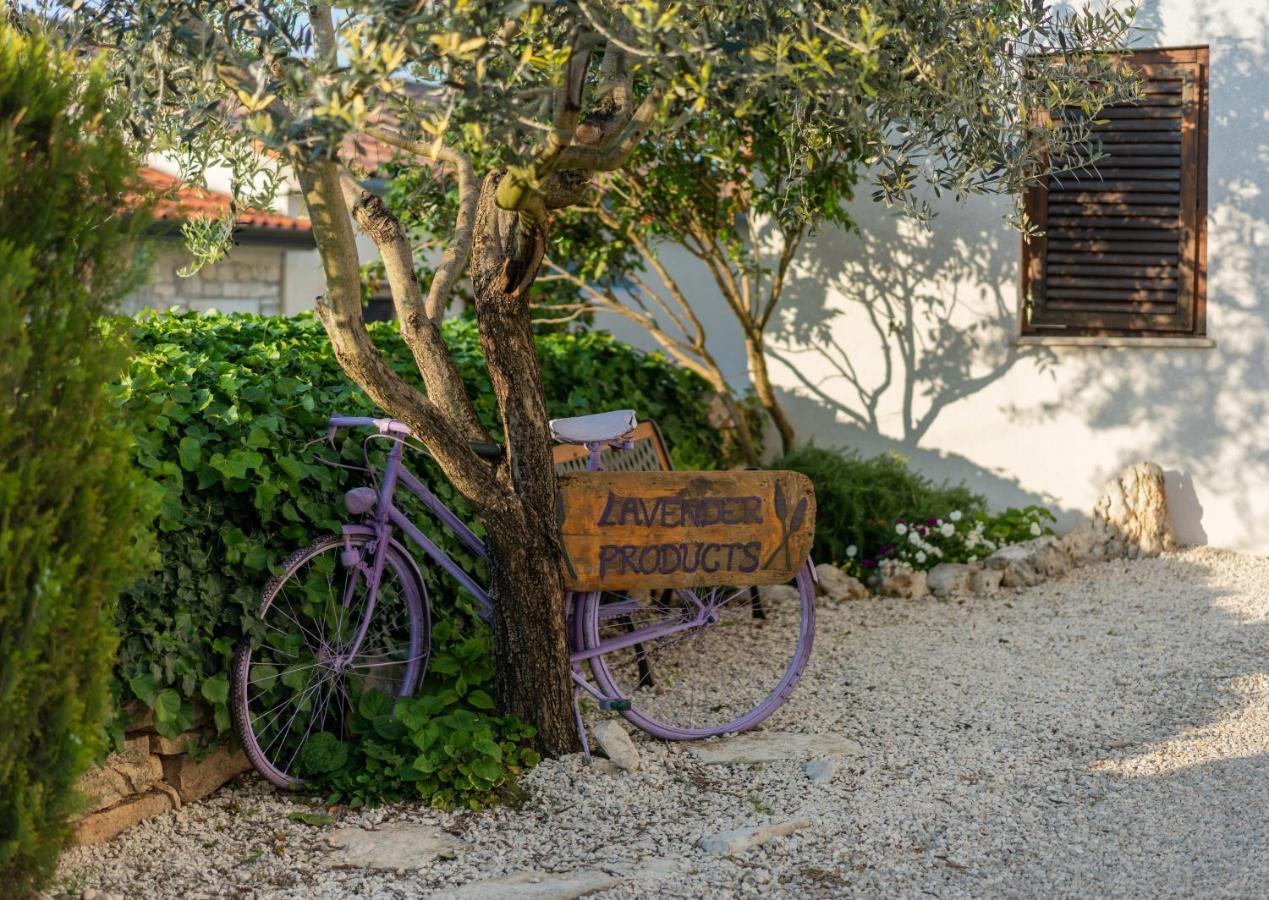 Lavanda Apartments & Room Sveti Lovreč Pazenatički المظهر الخارجي الصورة